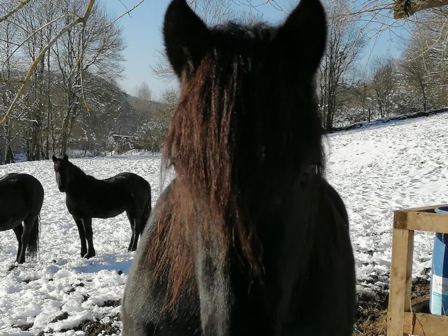 Les Merens Baulou Luaran gambar