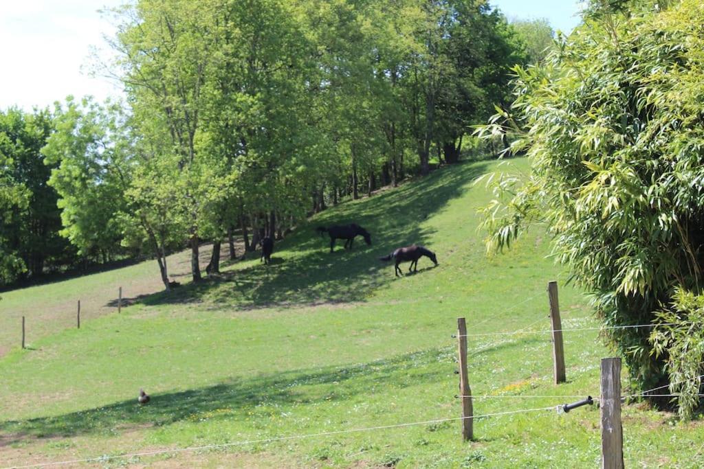 Les Merens Baulou Luaran gambar
